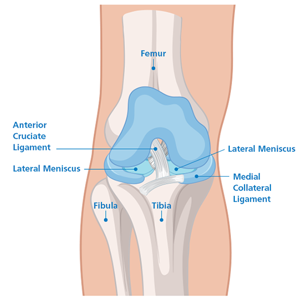 Knee Test