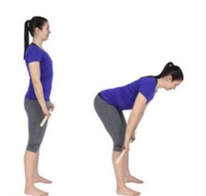 A woman stands up straight with legs hip distance apart holding a long stick or baton. The second image shows the woman moving the stick down to below her knees to stretch her back forward and face the ground. 